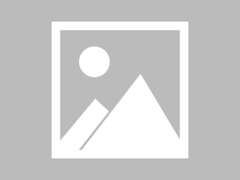 Анализ всего процесса закупки зарубежного инженерного оборудования: краны, бульдозеры, погрузчики от выбора до таможенной очистки.